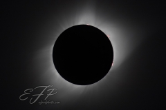 Total Eclipse I