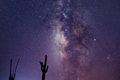 Desert Milky Way